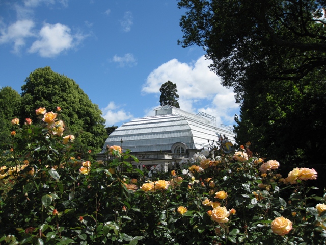 Christchurch Botanical Gardens, New Zealand